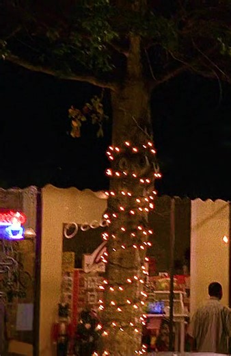 Family Conflicts and Drama in One Tree Hill