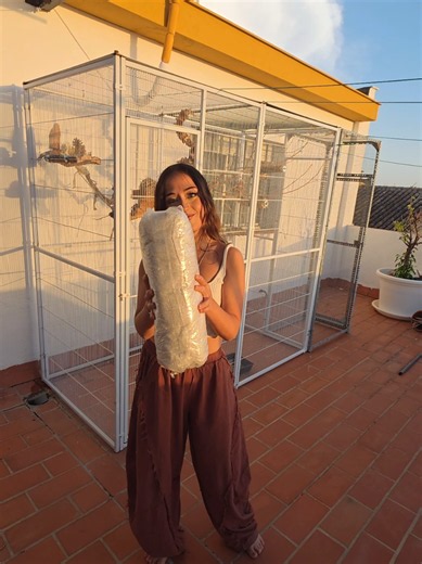 La Mejor Idea con Mis Loros: Un Momento Inolvidable con Mis Mascotas
