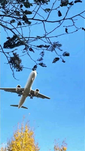 Finnair a321-200 Landing Right Over My Head! 🇫🇮 | Helsinki Airport Plane Spotting