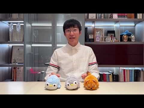 Morphing Plush by Jackie Zhao and JT Magic - video2