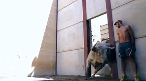 Impresionante video el que nos acaban de enviar. El valiente es Ramón Fernández "Padilla" en la salida de el toro de Coria | Recortadores