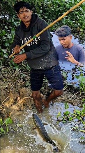 Snakehead Fishing Fails That Are Just Too Funny