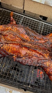 PitMassive & Mybarbecue Combo infernale. E siamo solo all’inizio. @simonbutchermilano @thebbqgrillspecialist @quercian @jackeleven_bbq @fra.choko #wholehog #barbecue #pit #mybarbecue #pitmassivebbq #bbq #maiale #lowandslow #foodporn #cotenna #crispy | MyBarbecue.it