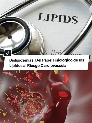 🫀Potencia tu práctica clínica con nuestro Curso de Cardiología en el Primer Nivel de Atención. Un programa integral diseñado para el abordaje del paciente cardiópata, desde la gestión de factores de riesgo hasta el manejo de la insuficiencia cardiaca. 📌 Guarda este video y revisa el link en la bio para inscribirte. #Cardiología #MedTok #medstudent #doctor #AulaMejor
