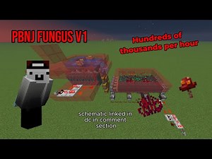 The BEST Fungus Farm for Donut SMP