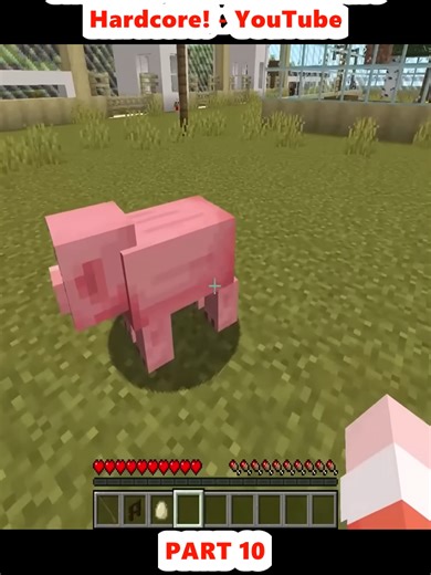 Surviving 100 Days of Extreme Hide and Seek in Minecraft