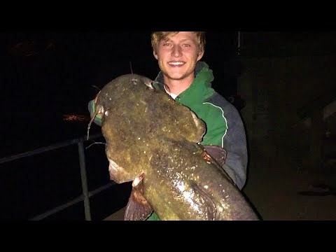 Michigan Flathead Catfishing {Using LIVE catfish for BAIT!}