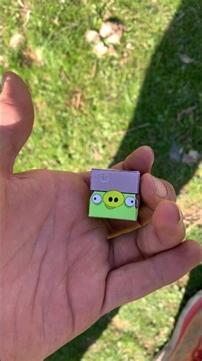 Real Life Angry Birds vs Helmet Pig 🐷💥Steel Mini Bird Shot Test!