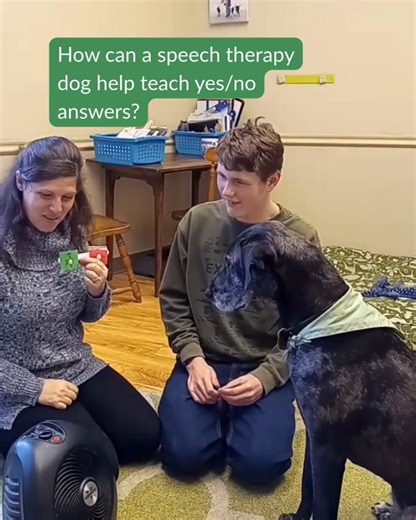 Sharlet Jensen | Therapy dog education for SLPs on Instagram: "Taking advantage of an unusually cold morning, Delta acted as both a model for answering yes/no questions (with a little strategic placement of the picture symbols choices by me) and as a neutral third party to direct our answers to. To see more ways my speech therapy dogs help me at work, see "Welcome to Animal-Assisted Interventions: The How and Why Behind AAI." ✨Link in bio✨ #speechtherapyfun #pettherapyisthebesttherapy #canineass
