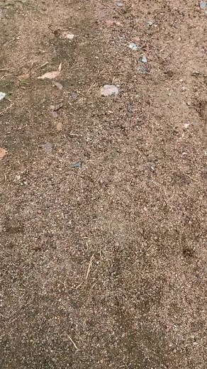 BEYOND CREATION ✂️✂️✂️ on TikTok