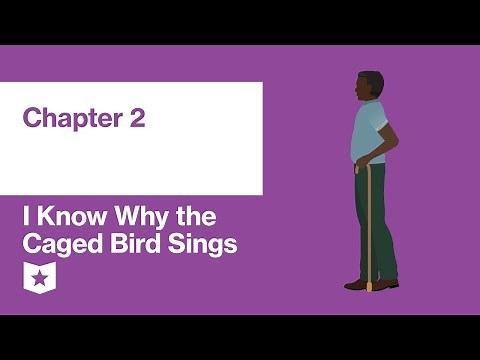 I Know Why the Caged Bird Sings by Maya Angelou | Chapter 2