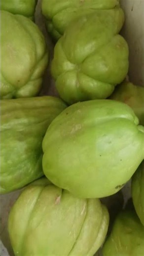 Chow Chow | மேரக்காய் | சௌ சௌ #vegetables #chowchow
