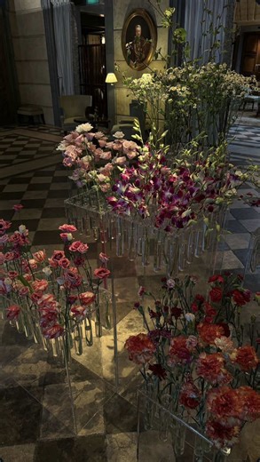 Discover Unique User Experiences on ibb.ac.cr