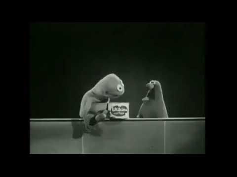 Just some OpenShot test I made