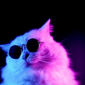  Noch einfacher geht’s nicht – mit Apple Pay und Sparkassen-Card (Debitkarte) bezahlt ihr schnell, sicher und vertraulich in Apps, im Web und in Geschäften. Jetzt ausprobieren.  | Nord-Ostsee Sparkasse | Facebook