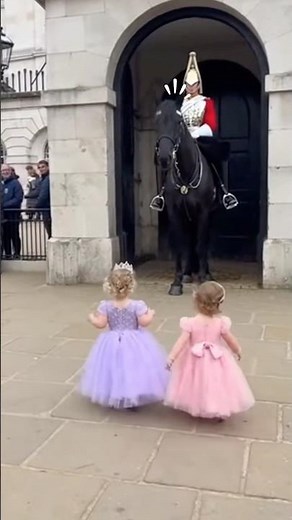 Royal Guard on Horse Breaks Protocol and Surprises Children