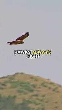 Evolutionarily Stable Strategies in Nature