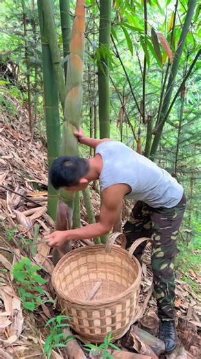 ((1 minute)) Amazing Skill Cutting Bamboo 🎍 #asmr #bamboo #skill #cutting