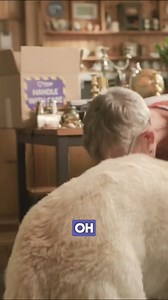 🎬 Here’s the extended cut of our brand-new TV advert! 🎬 We’re thrilled to receive such wonderful feedback from Wendy, a real Vintage Cash Cow customer. Wendy made it sound easy—and that’s because it truly is! ✨ Ready to turn your old valuables into cash? Follow these 5 simple steps: 1️⃣ Order your FREE postage pack 2️⃣ Fill up any box with your old treasures 3️⃣ Post your box or schedule a FREE collection 4️⃣ Receive a FREE, no-obligation offer 5️⃣ Accept the offer or have everything returned—