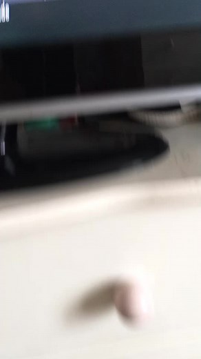 Vidéos de Didier y (@_la_peluche_didier) avec son original - Didier y