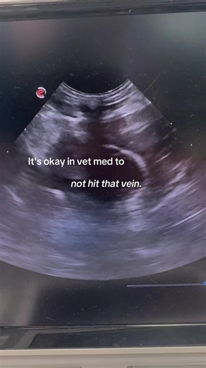 The Evolution of Vet Med: Standards and Support