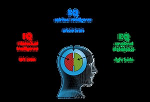 Origins of the Spiritual Intelligence Paradigm