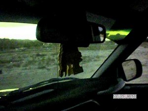 12" Re Audio XXX sonoma