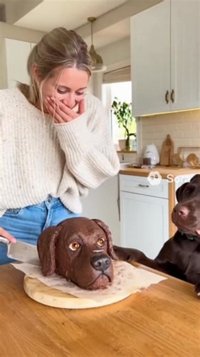 10K views · 62 reactions | * Dog’s Reaction to Getting a Cake...