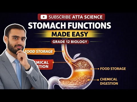 Grade 12 Biology| Unit 1 Lecture 4 | Master the Functions of the Stomach | MDCAT Preparation