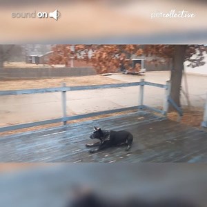 1M views · 10K reactions | That's one slippery deck! | Try Not to Laugh | Facebook