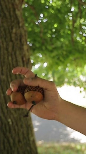 Wooden Kashaka Shaker - Sound Demo