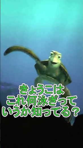 Crush learns what the front crawl is [Turtle Talk] Tokyo DisneySea