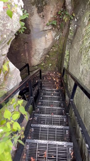 Caesars Head https://southcarolinaparks.com/caesars-head | Kimberly Anne Pearson