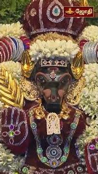 வாராஹி அம்மன் பஞ்சமி சிறப்பு பாடல் | Varahi Amman Song | JothiTv