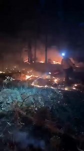 Why Firefighters Start Fires to Stop Wildfires 樂 #shorts #facts #fire #viralshorts | Firals | Facebook