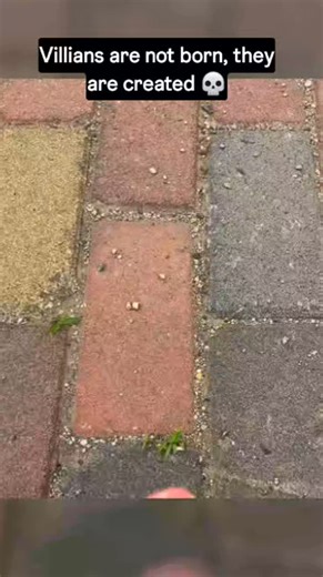 VIRAL_MEME_BOI | Follow @viral_meme_boi for more content ❤️💀 . . . . . . . . #memes #meme #funny #comedy #viral #trending #funnymemes #funnreels... | Instagram