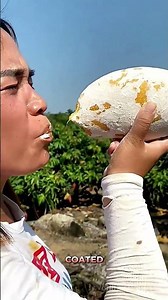 How Kaolin Keeps Fruit Fresh and Bug Free