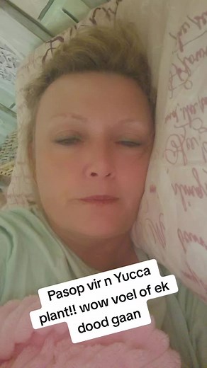 Mariaan (@mariaanviljoen)’s videos with original sound - Mariaan