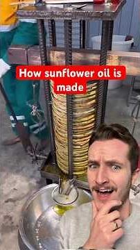 How sunflower oil is made