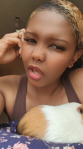 Discover the Joy of Guinea Pigs in Kenya