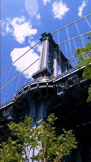 From Streets to Skyline | Exploring Brooklyn’s Coolest Spot