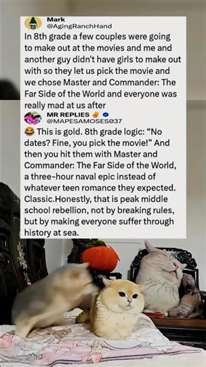 A group of couples went to the movies…what 2 random single guys did next change everything 😭