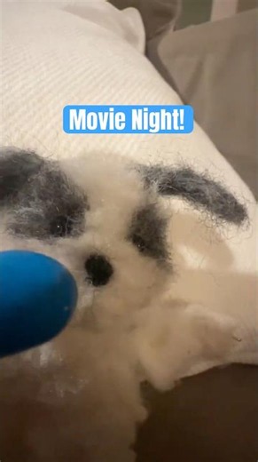 Movie Night!