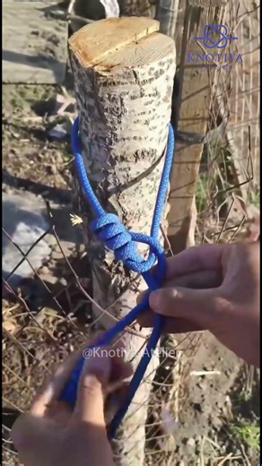 Camp Knot Fundamentals #knot