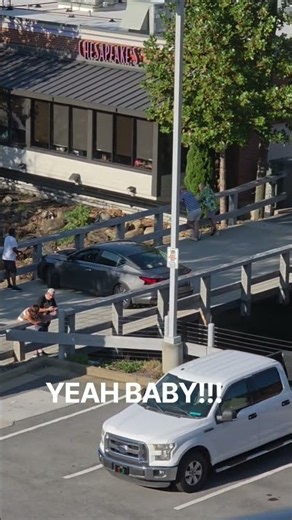 Austin Powers, Live 12 Point Turn