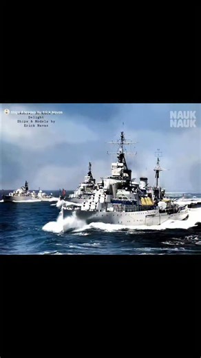 9.2K views · 1.2K reactions | The Fiji-class arose because of the...