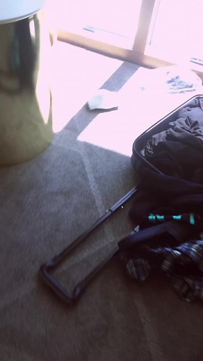 Sandvich now on TikTok