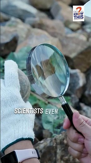 Why Do Some Rocks Float? 🪨🌊 The Magic of Pumice