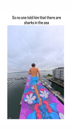 FUNNY OPPS CLIPS on Instagram: "This Instagram reel recirculates genuine footage from the Red Bull Cliff Diving World Series 2025 finale in Boston Harbour on 19-20 September, depicting a professional diver executing a 27-metre feet-first plunge into calm waters amid docked boats.The caption's humorous shark warning contrasts the controlled event's safety protocols, where divers train for high-impact entries at speeds over 85 km/h, with no marine hazards in the urban Seaport District. Despite 3 m