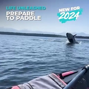 Live Life Unleashed Introducing the TRAK 2.0 - 2024 Edition! https://www.trakkayaks.com/blogs/inside-trak/pre-order-the-all-new-2024-trak-2-0-kayak Want to experience the TRAK 2.0 for yourself? Test Paddles are happening in various areas around the world. Make it real for yourself, and experience the TRAK 2.0 with an avid user ("TRAK Pilot") during your demo. Visits from resident Orca Whales not guaranteed! | TRAK Kayaks